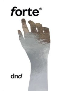 dnd cover catalogo forte